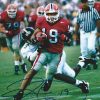 Hines Ward Autographed/Signed Georgia Bulldogs 16x20 NCAA Photo Red Jersey-0