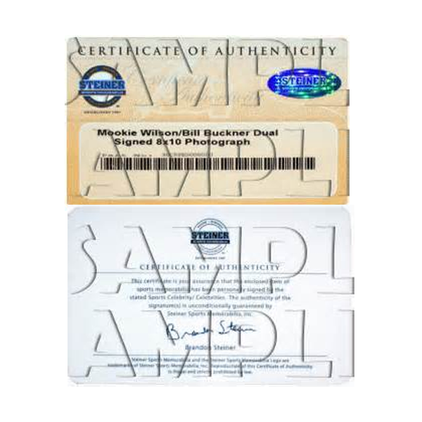 Jadeveon Clowney Autographed/Signed South Carolina Gamecocks Spotlight Framed 16x20 Photo - Hit vs. Michigan - Image 3