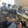 Devin Bush Signed Pittsburgh Steelers Speed Authentic Black NFL Helmet - Image 2