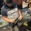 Jose Canseco Signed Oakland A's Rawlings Big Stick Black MLB Bat with "Juiced" Inscription - Image 3