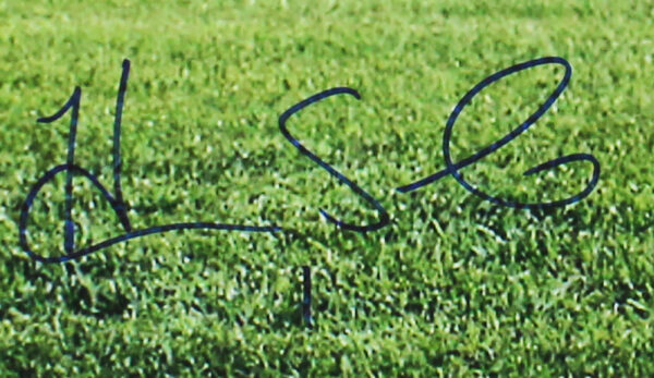 Hope Solo Signed USA Unframed 16x20 Naked Lawn Shot Photo - Image 2