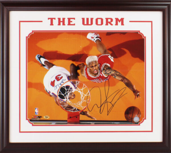 Dennis Rodman Signed Chicago Bulls Framed 16x20 The Worm NBA Photo