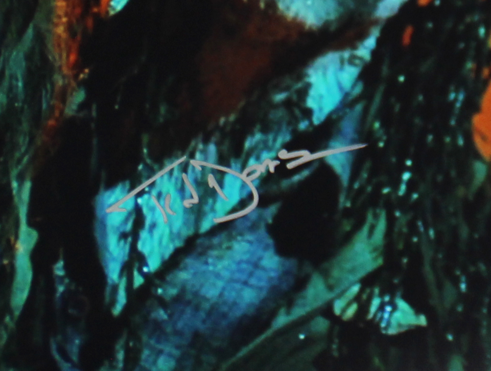 Ted Danson Signed Creep Show Unframed 11x14 Undead Characters Photo - Image 2